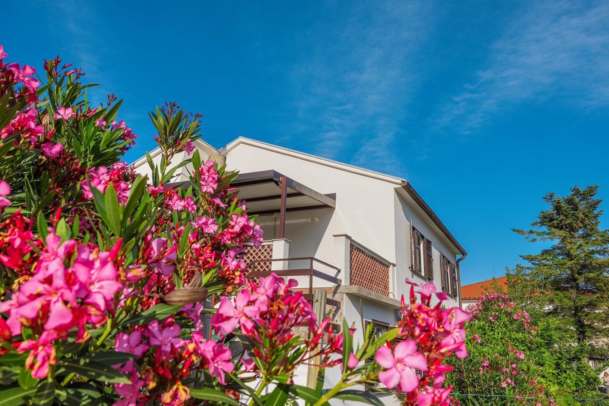 Apartment Vinka บัชกา ภายนอก รูปภาพ